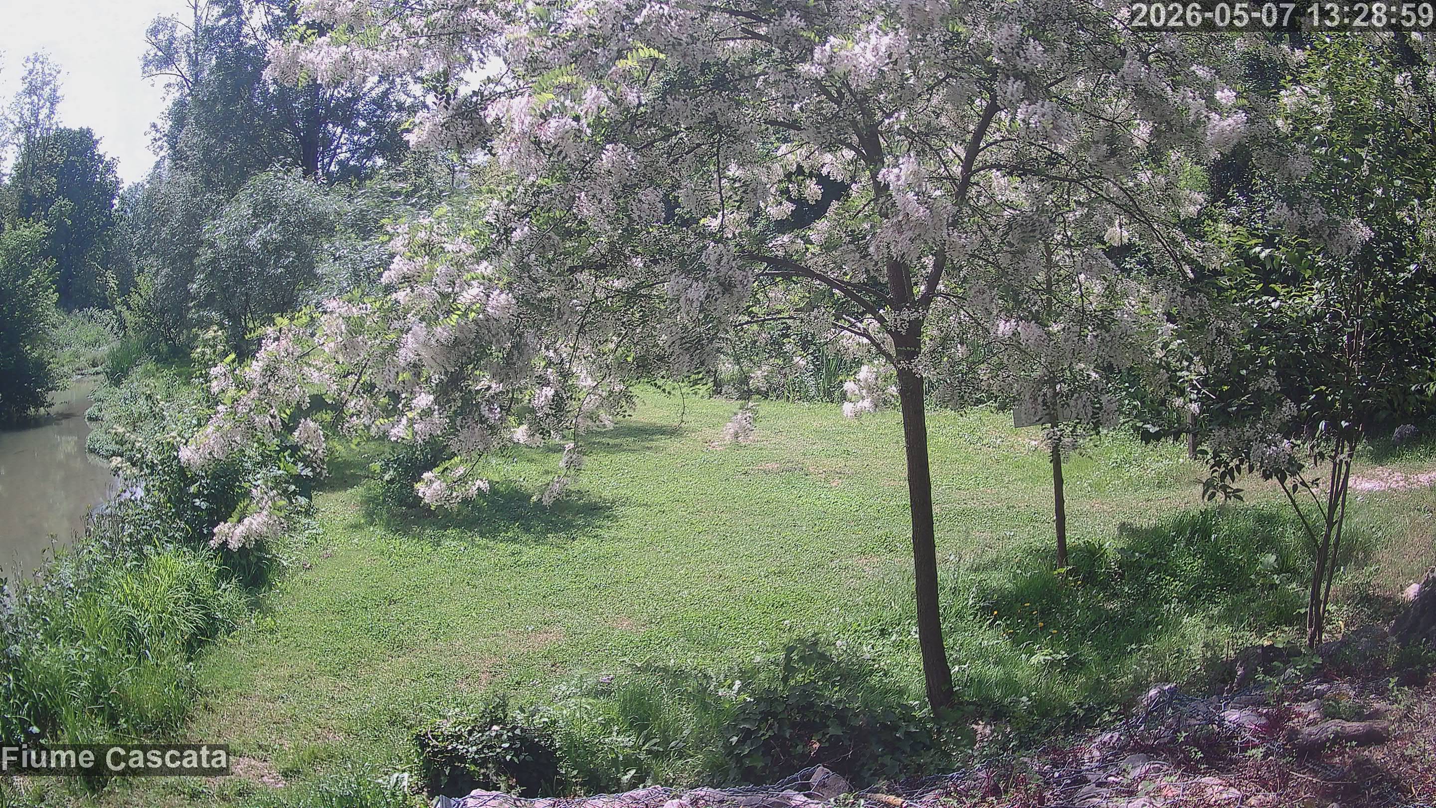 immagine della webcam nei dintorni di Jesi: webcam Cingoli