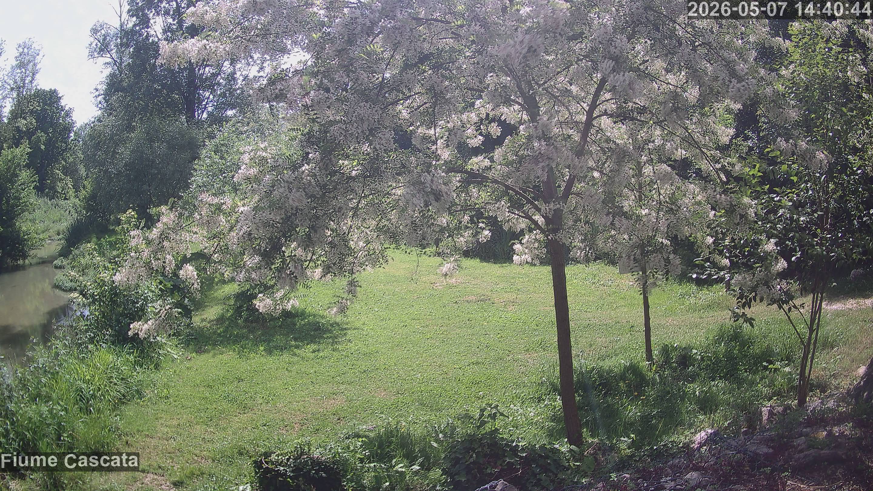 immagine della webcam nei dintorni di Ostra Vetere: webcam Cingoli