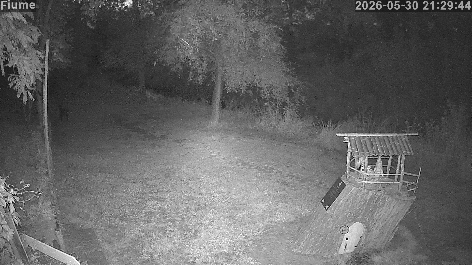 immagine della webcam nei dintorni di Ancona: webcam Cingoli