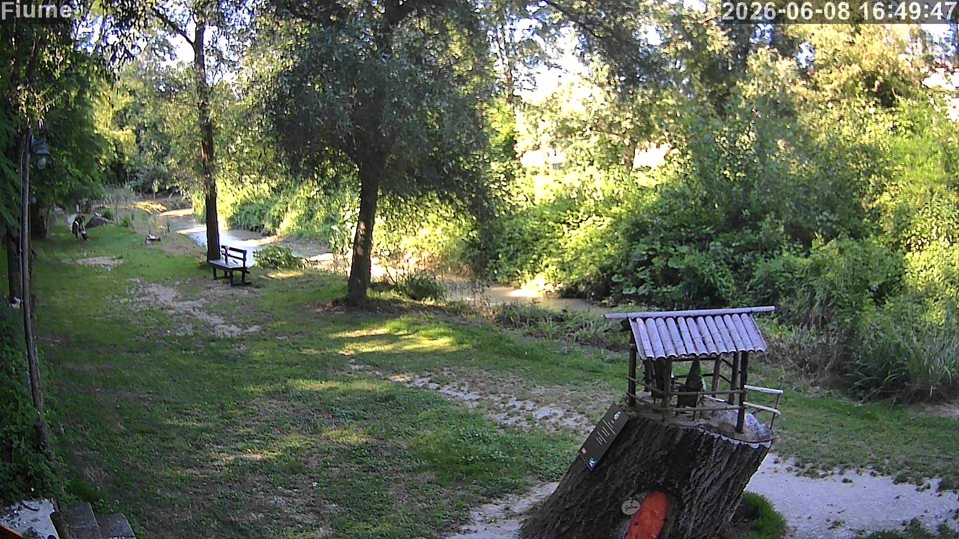 Preview delle webcam di Cingoli