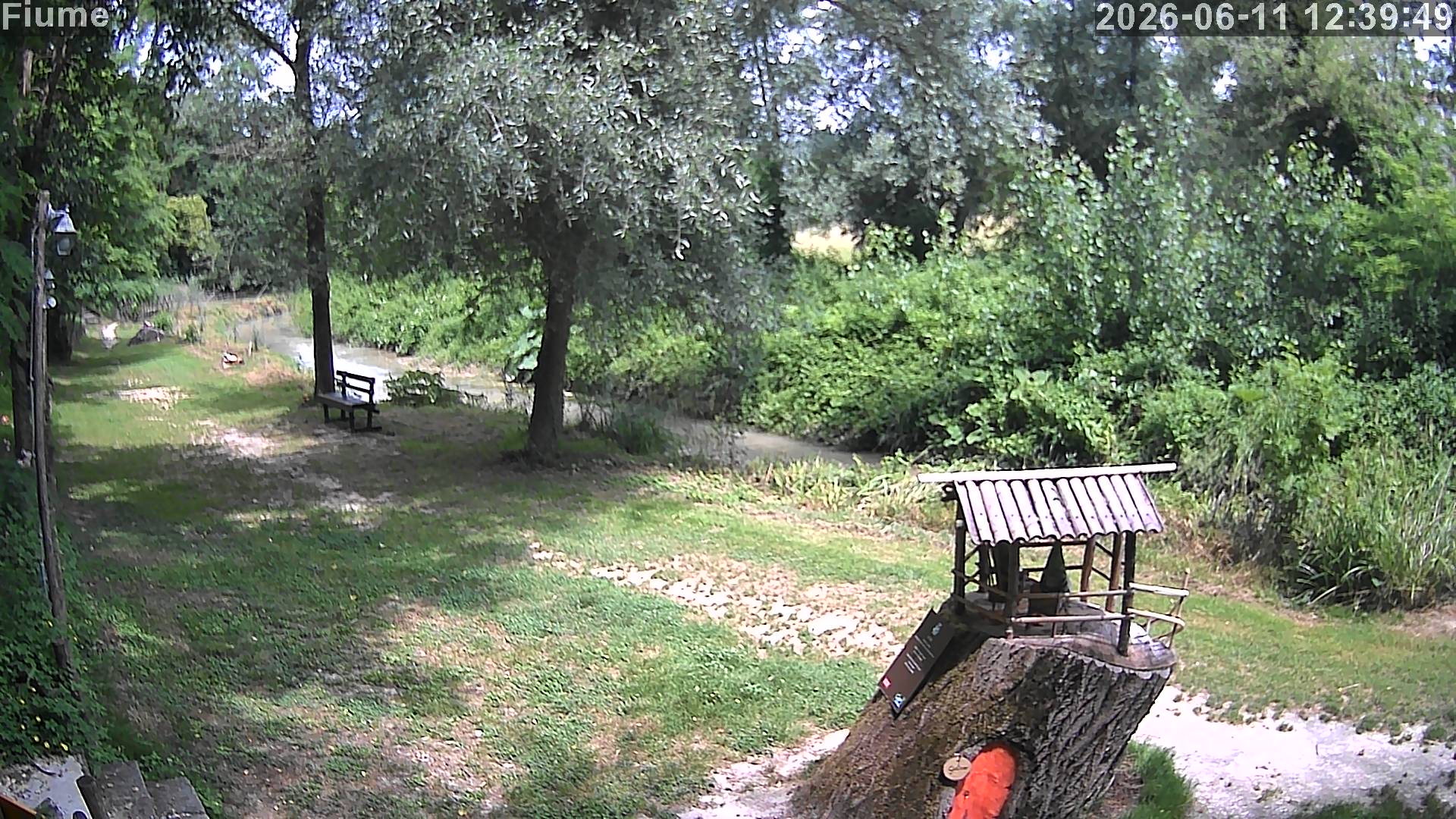 immagine della webcam nei dintorni di Ancona: webcam Cingoli